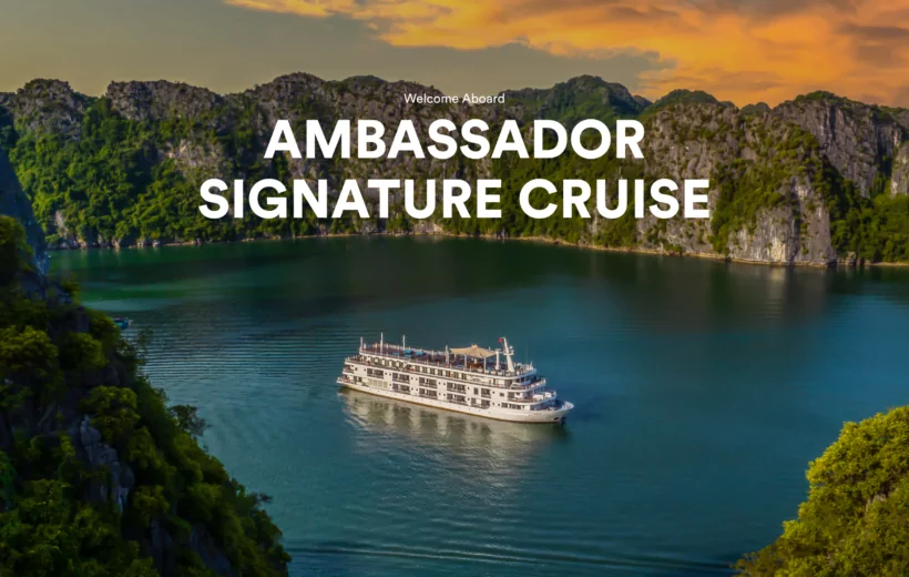 Ambassador Signature Cruise