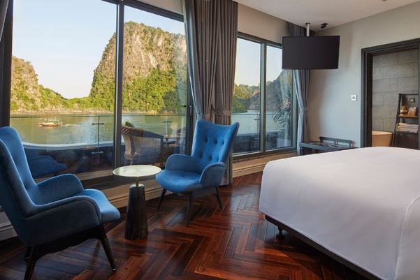 Elite Senior Premium Suite 2