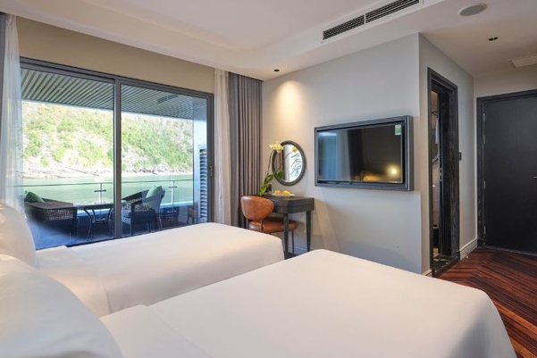 Elite Senior Suite 4