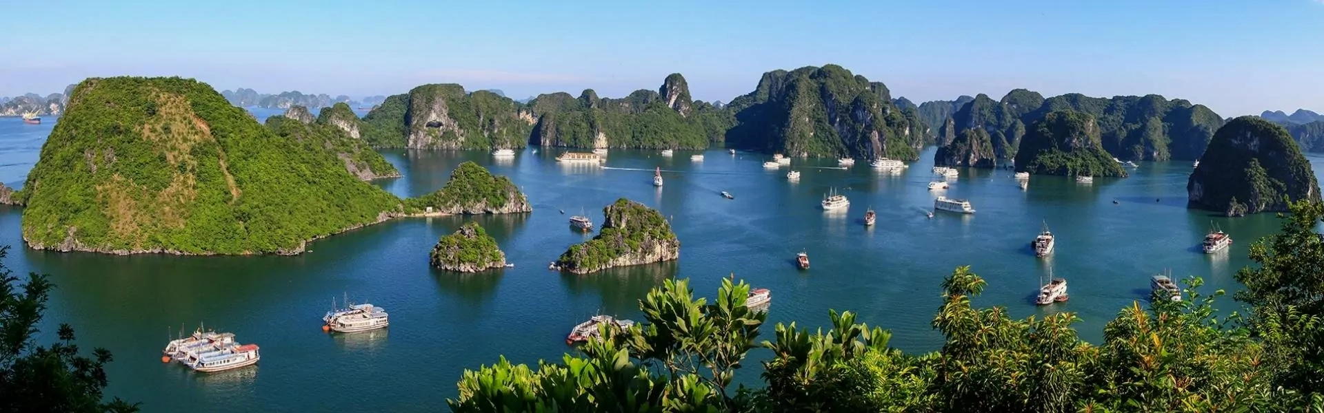 Find Cruises