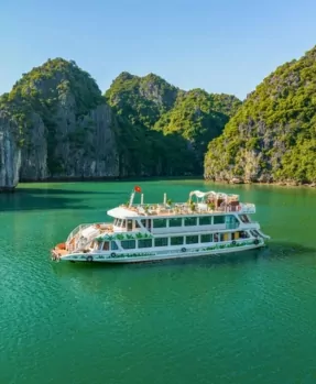 Boat Tours