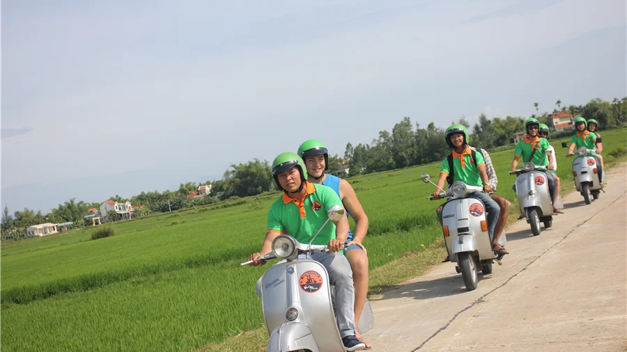Vespas riding along rice fields just outside Hoi An