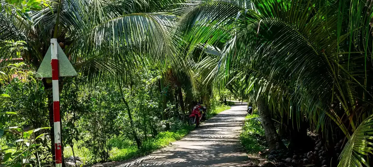 Path through a coconut farm in Ben Tre, Mekong Delta