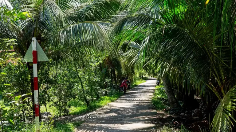 Ben Tre: Coconut Canals, Sampan Rides & Homestays