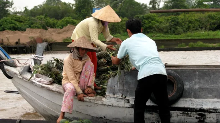 Cai Be Mekong Delta: Floating Market, Church & Old Houses