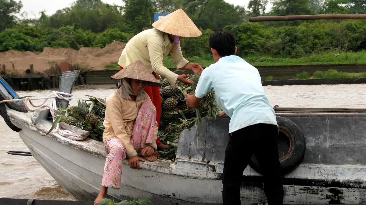 Cai Be Mekong Delta: Floating Market, Church & Old Houses
