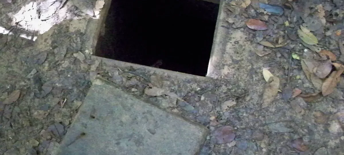 Small camouflaged tunnel entrance in the forest floor at the Cu Chi Tunnels