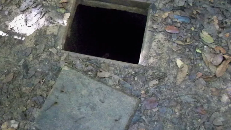 Cu Chi Tunnels: Ben Dinh vs Ben Duoc, Tickets & Tips
