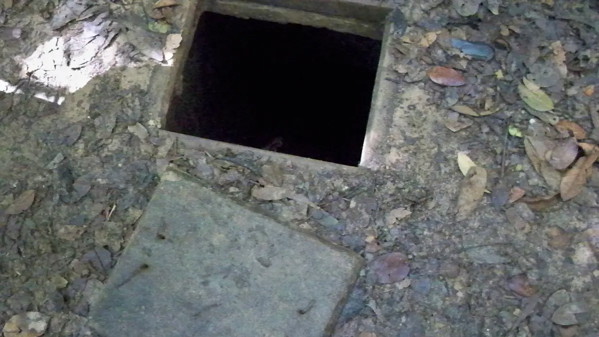 Cu Chi Tunnels: Ben Dinh vs Ben Duoc, Tickets & Tips
