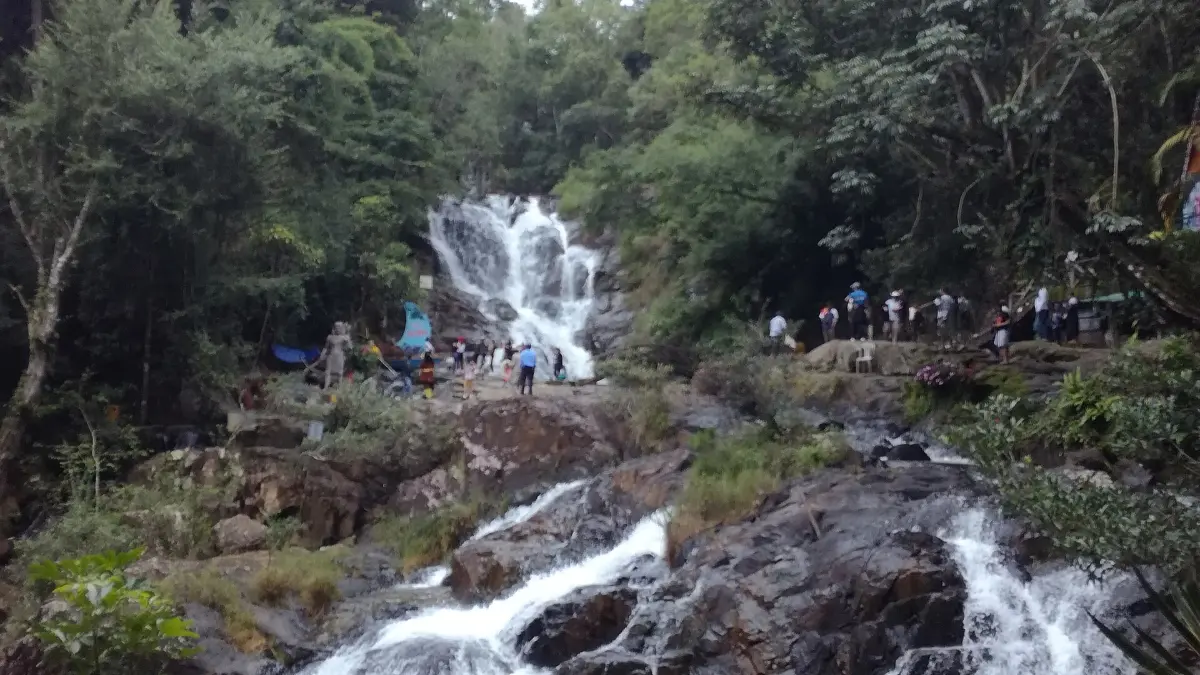 Datanla falls among pine forest, Dalat
