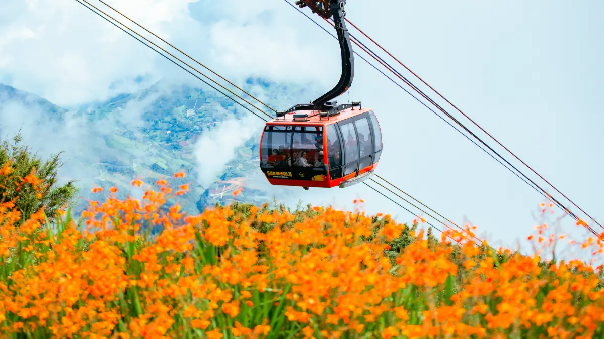 Fansipan Cable Car, Sapa Fansipan cable car cabins above flower fields, Sapa