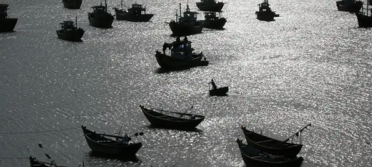 Colourful fishing boats anchored in Mui Ne harbour