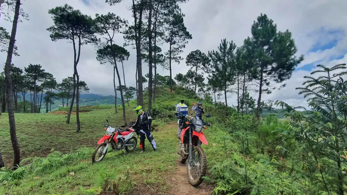 Pine hill stop in Ha Giang