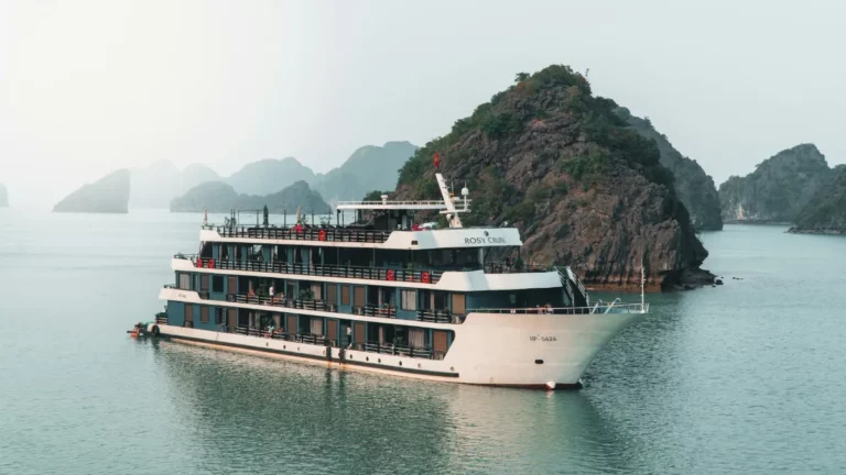 Halong Bay Cruise Guide 2026: How to Choose the Best Cruise