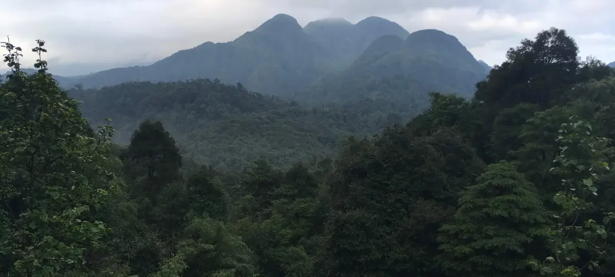 Peaks and forests of the Hoang Lien Son mountain range near Sapa