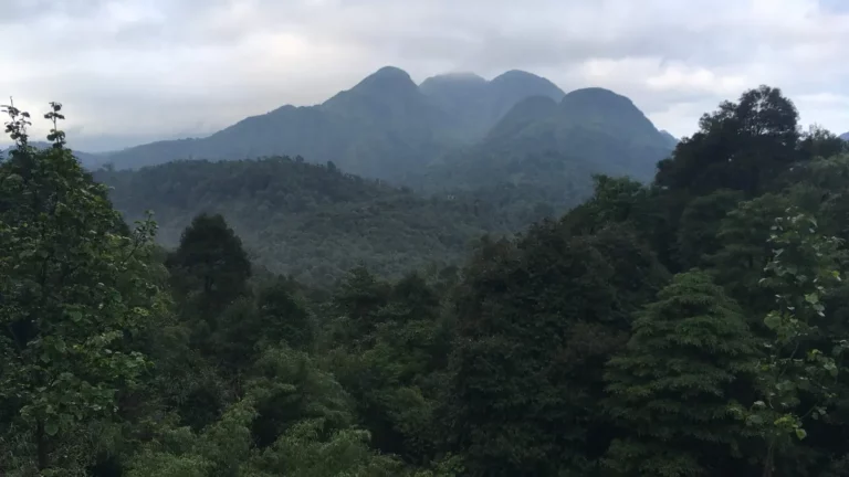 Rong May Glass Bridge: Tickets, Views & Is It Worth It?