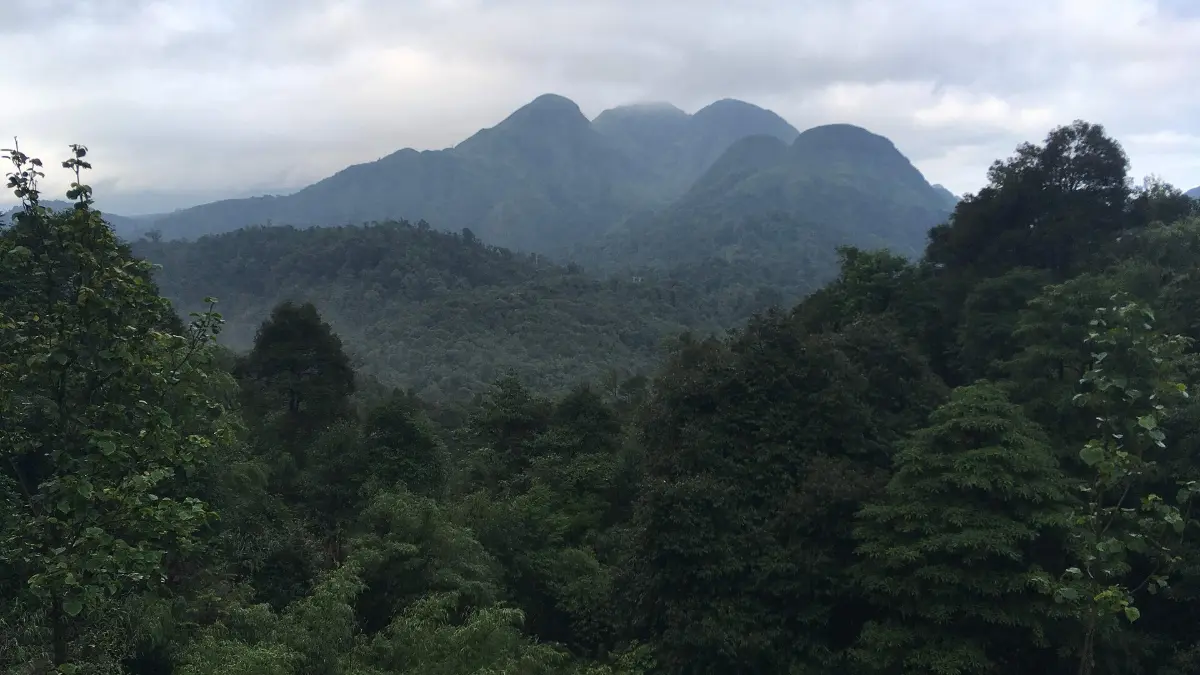 Rong May Glass Bridge: Tickets, Views & Is It Worth It?
