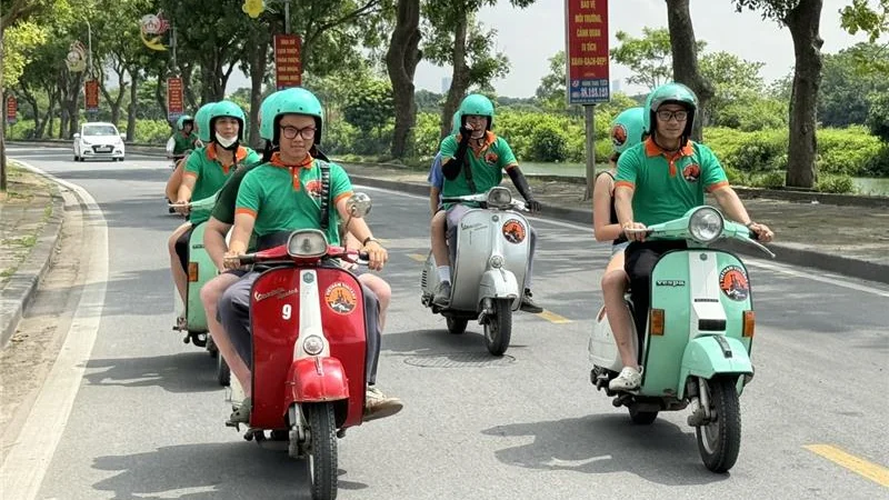 Hoi An to Hue Vespa Tour via Hai Van Pass (1 Day)