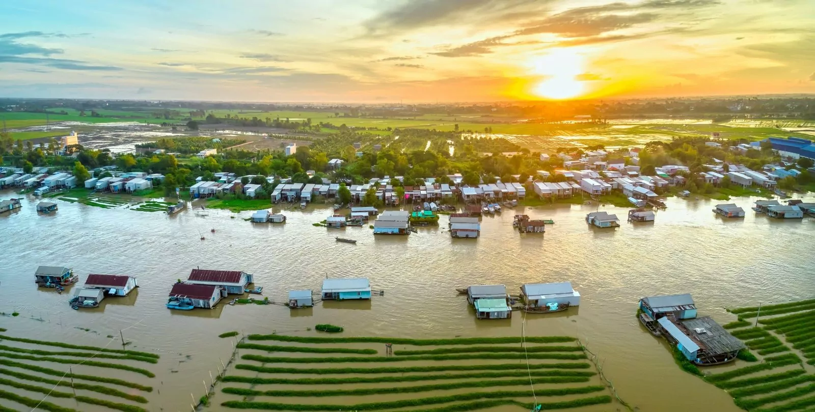 Mekong landscape