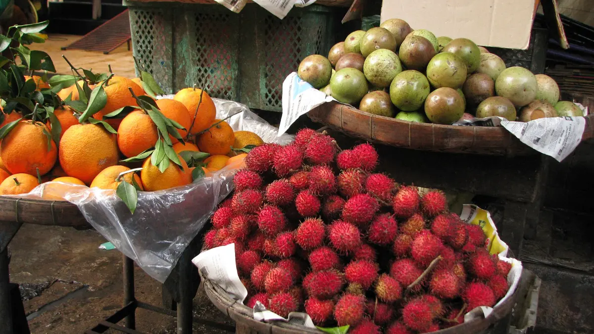 Tropical Fruit in the Mekong Delta Rambutans and tropical fruit for sale in the Mekong Delta