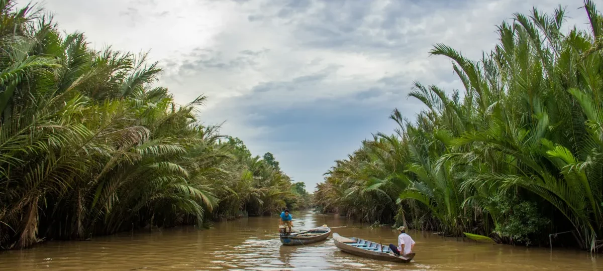 Sampans gliding along a water-coconut palm canal under a bright sky, a classic Mekong Delta travel scene
