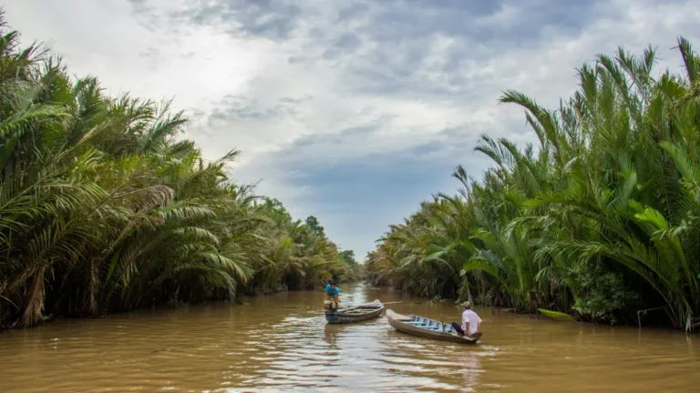 Sampans gliding along a water-coconut palm canal under a bright sky, a classic Mekong Delta travel scene