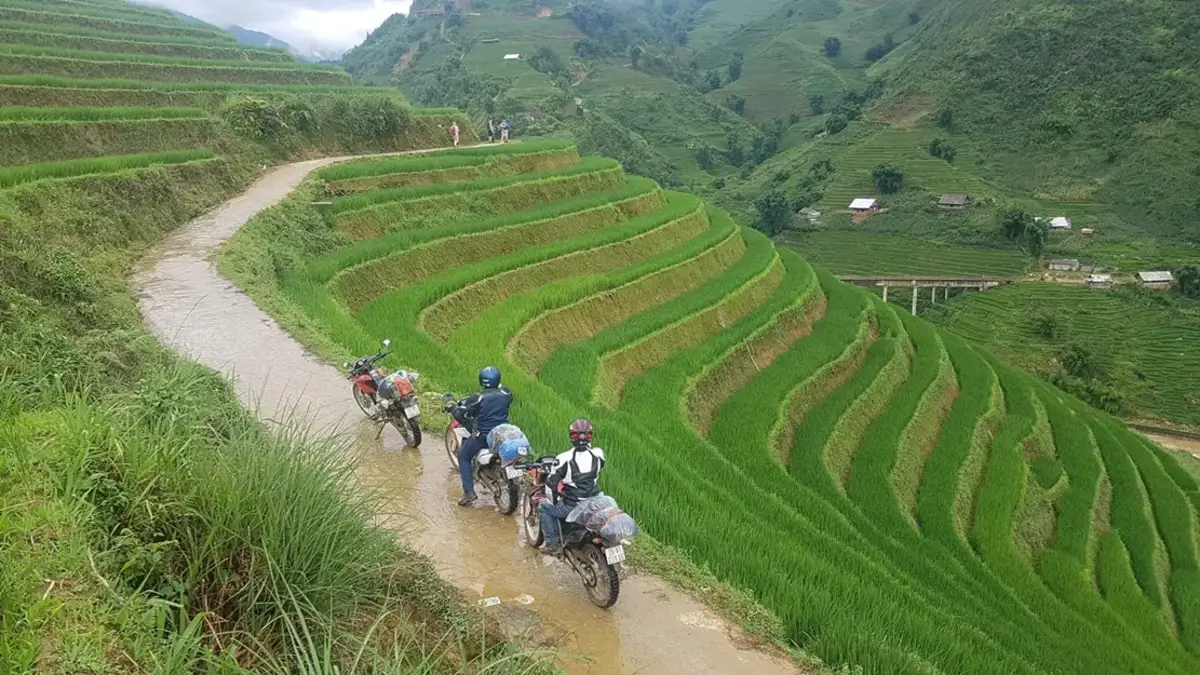 Rice terraces on the road to Mu Cang Chai