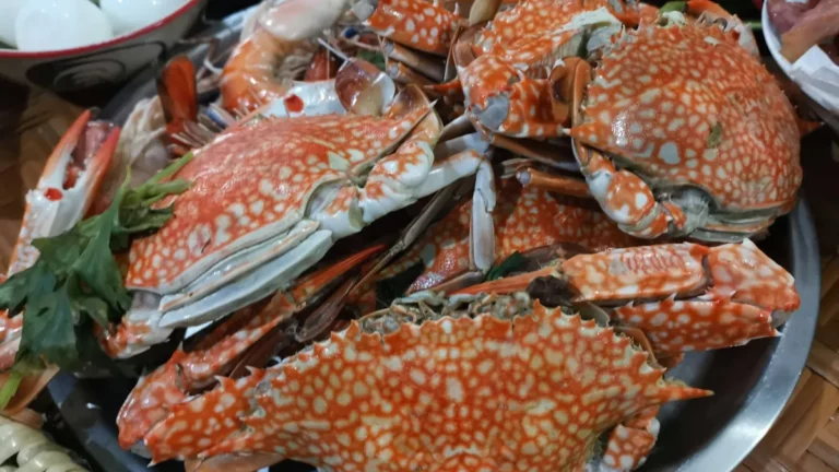 Mui Ne Food Guide: Seafood, Banh Can & Local Specialties