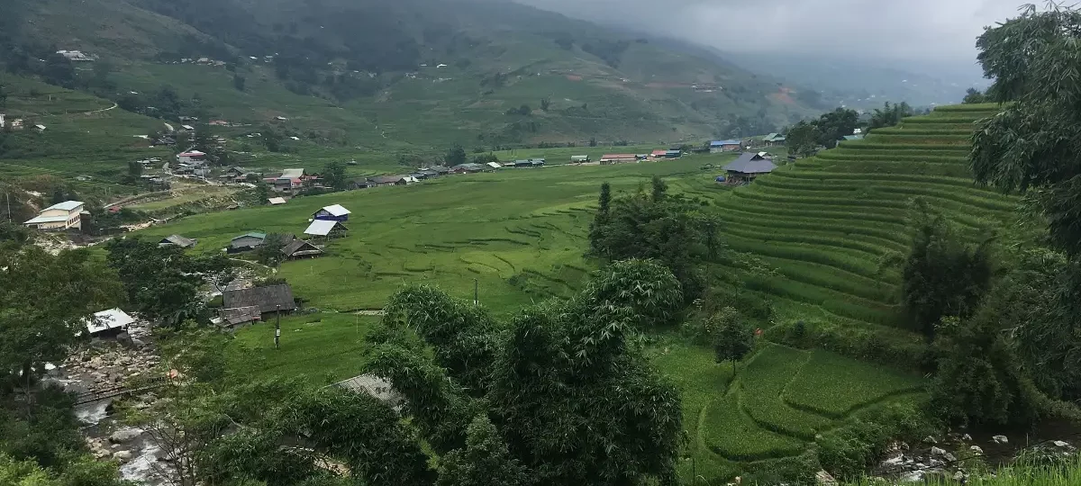 Rice terraces in the Muong Hoa valley, Sapa