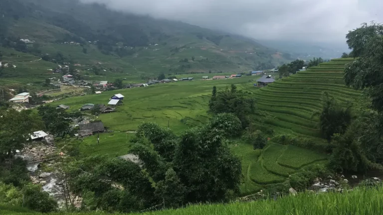 Muong Hoa Valley: Sapa Rice Terraces & Ancient Carved Stones