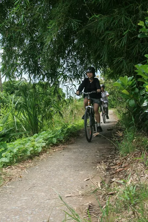 Cycling under the bamboo