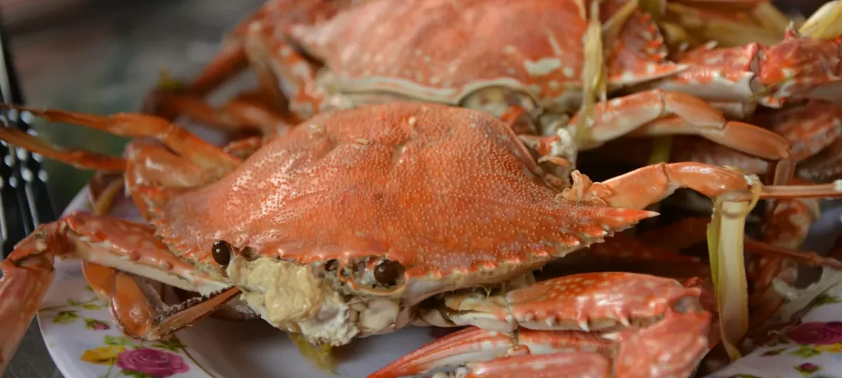 Steamed blue swimmer crabs piled on a plate, a classic seafood dish in Nha Trang