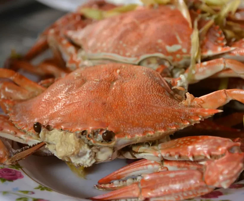 Steamed blue swimmer crabs piled on a plate, a classic seafood dish in Nha Trang