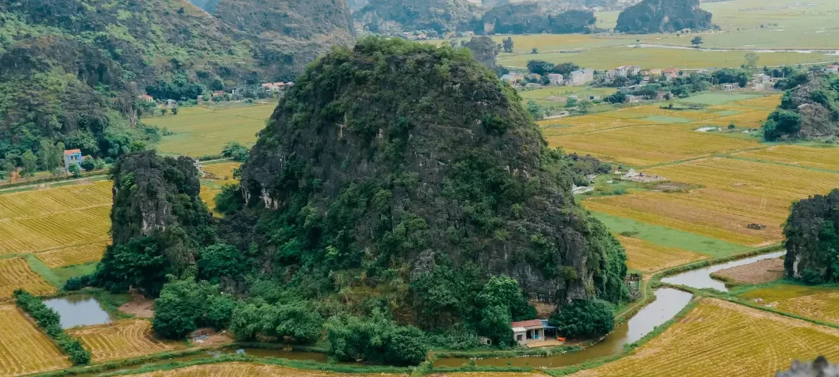 Aerial view of golden rice fields, villages and limestone karst hills in Ninh Binh, where homestays line the valleys