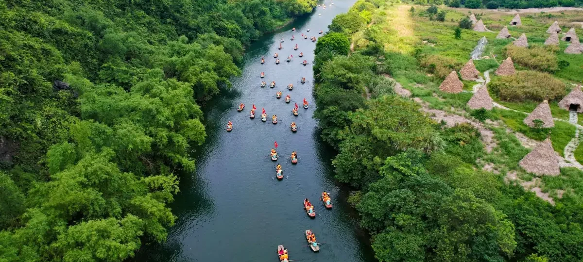 Aerial view of rowing boats carrying visitors along a green river through the Trang An area of Ninh Binh
