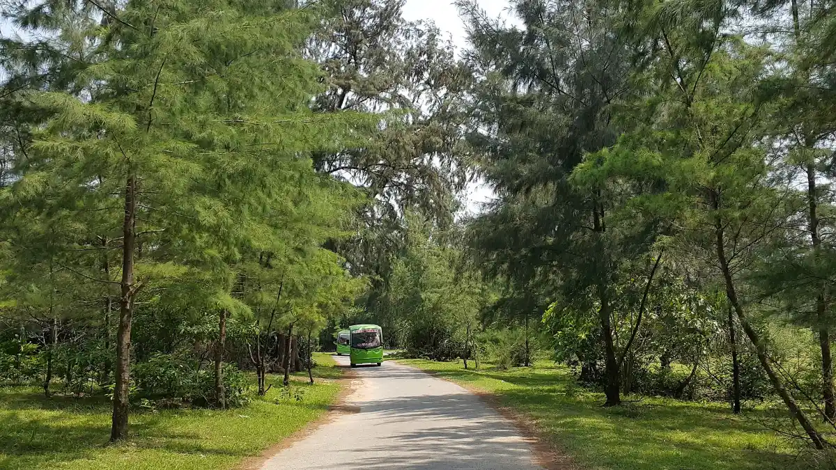 Road on Co To Island Coastal road on Co To Island, Quang Ninh