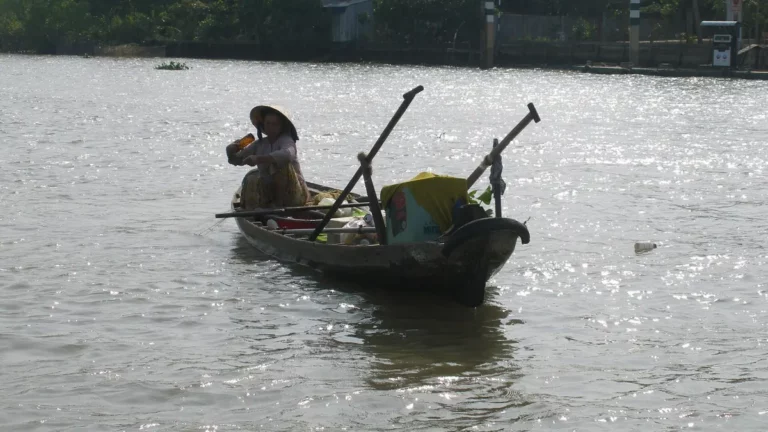 Mekong Delta Day Trip from Saigon: Routes, Tips & Tours