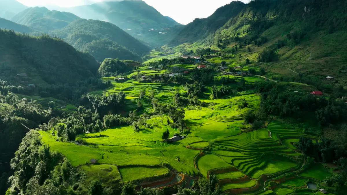 Green Rice Terraces in a Sapa Valley