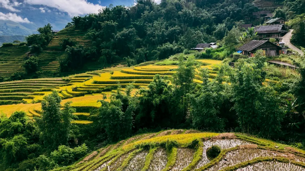 Hanoi – Sapa Tour 3 Days