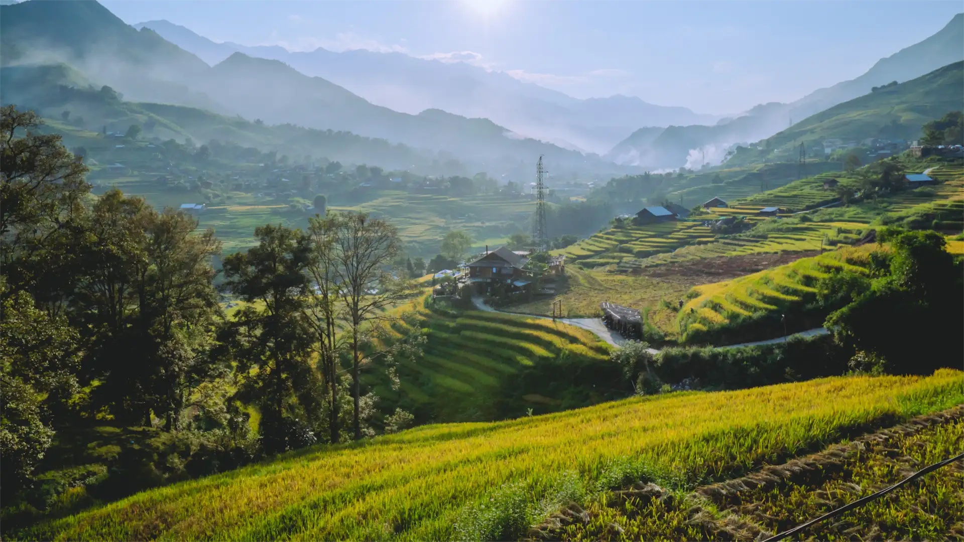 Green rice terraces in a mountain valley near Sapa, northern Vietnam