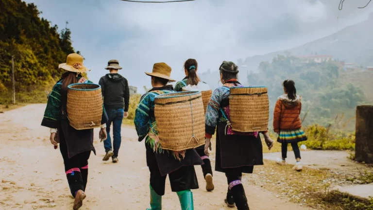 Sapa Trekking Guide 2026: Best Routes, Guides & Tips