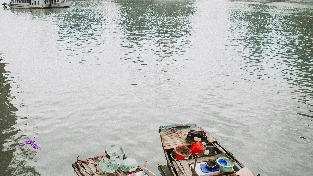 Seafood Vendor in Halong Bay Woman selling fresh seafood from a boat in Halong Bay