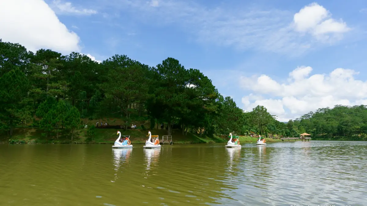 Swan Boats on Da Thien Lake, Valley of Love Swan pedal boats on Da Thien Lake at the Valley of Love, Dalat