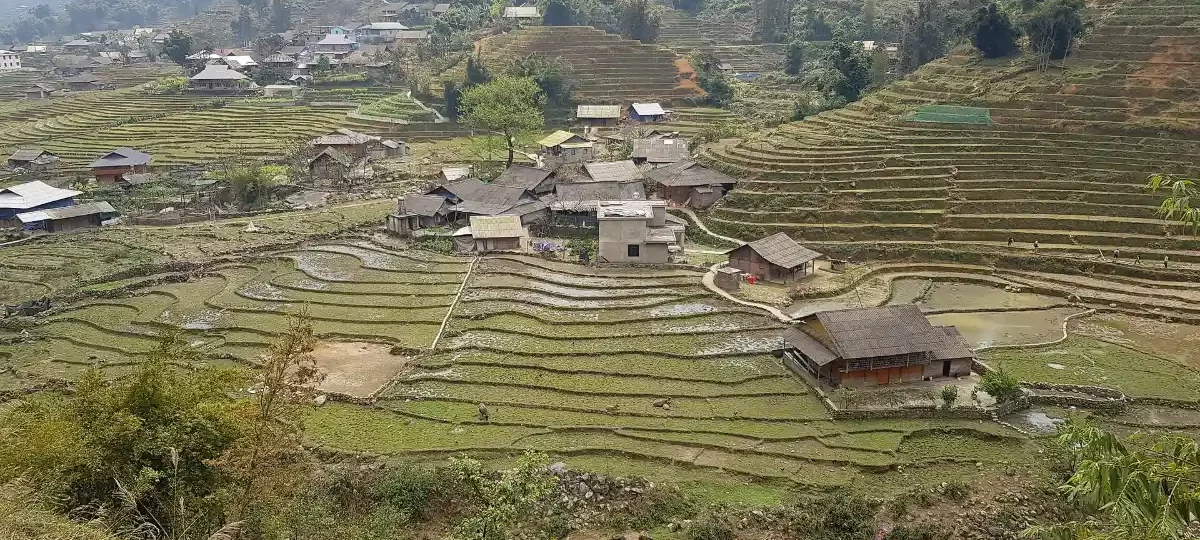 Rice terraces and houses of Ta Van village in the Muong Hoa valley, Sapa