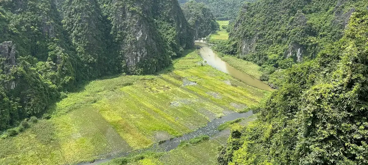 View over the Ngo Dong River, rice fields and karsts of Tam Coc, Ninh Binh