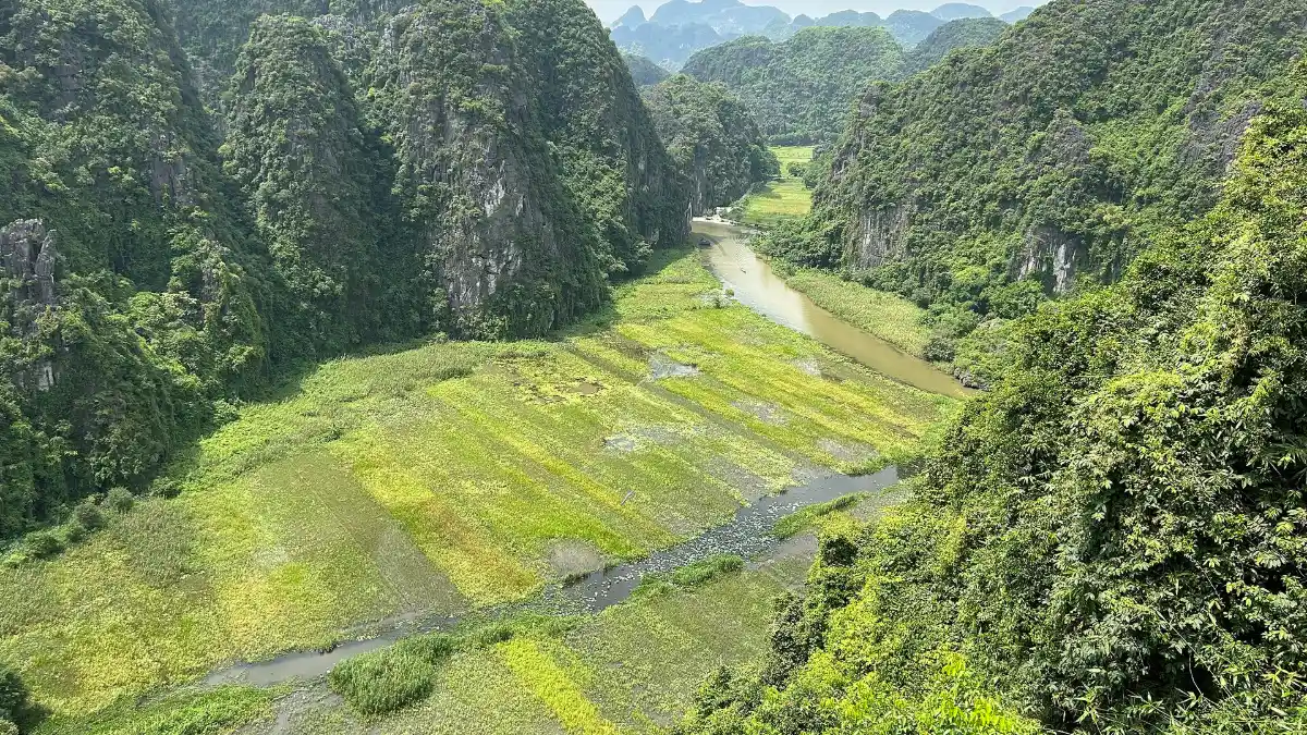 Tam Coc Ninh Binh: Boat Trip, Bich Dong Pagoda & Golden Rice Season Guide (2026)