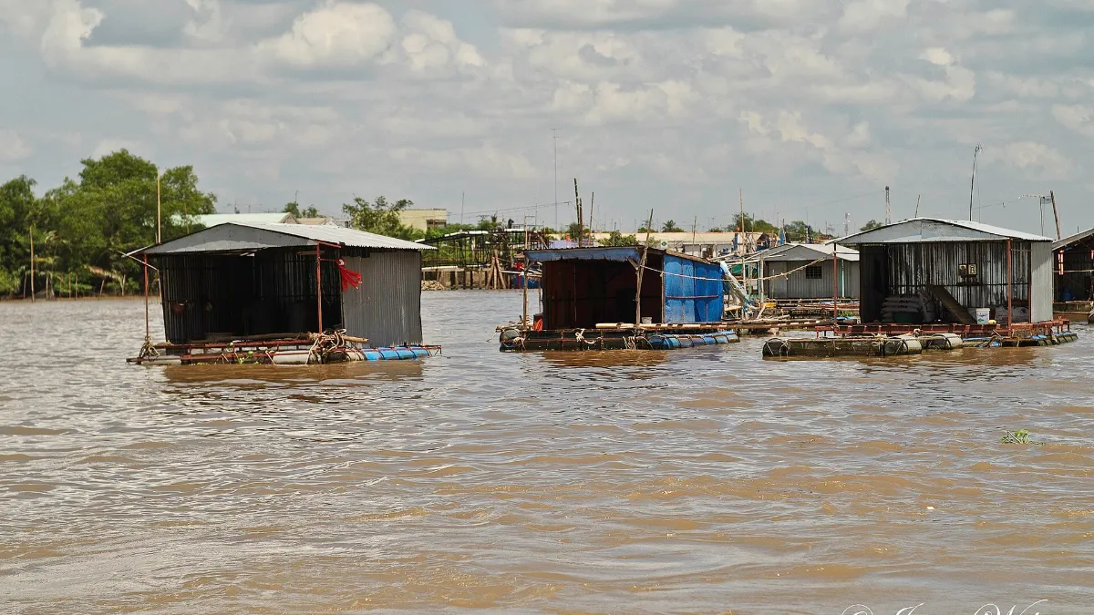 Tien River – Floating Fish Farms near Thoi Son