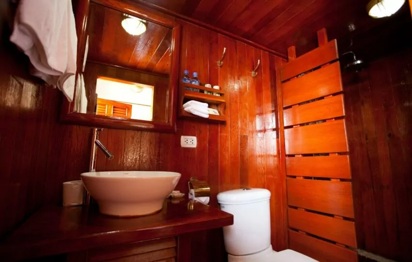 Wood-panelled bathroom with brass fittings on the Toum Tiou II