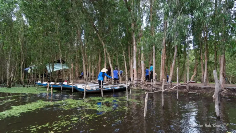 Chau Doc: Sam Mountain, Tra Su Forest & Border Town Guide