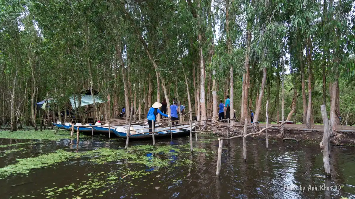 Chau Doc: Sam Mountain, Tra Su Forest & Border Town Guide